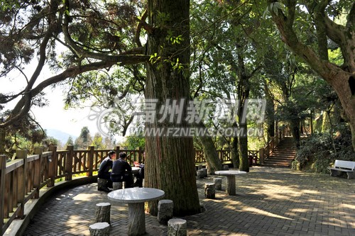 鼓岭未来建设定位　吃住行游购娱将会全面大升级