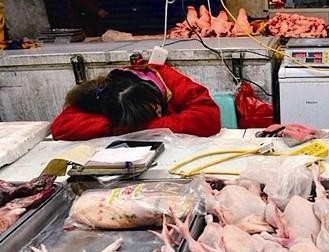 Poultry industry in Xiamen hit hard by H7N9