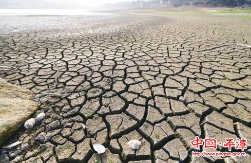 Aoqian town struggles with water shortage