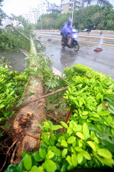 Typhoon Dujuan makes landfall in Fujian