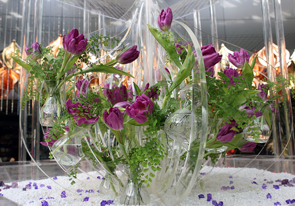 'Guotai' tulip flowers to bloom in Xiamen