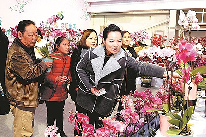 6 best places to see Fujian's beautiful winter flowers