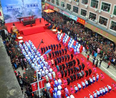 Traditional white tea festival held in Fuding