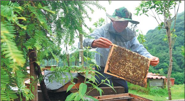 Root And Branch Reform Helps Raise Farmers' Incomes