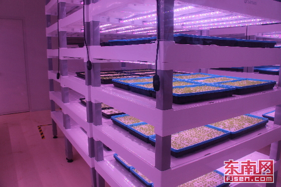 Backwards capacity makes way for high-tech industries in Anxi