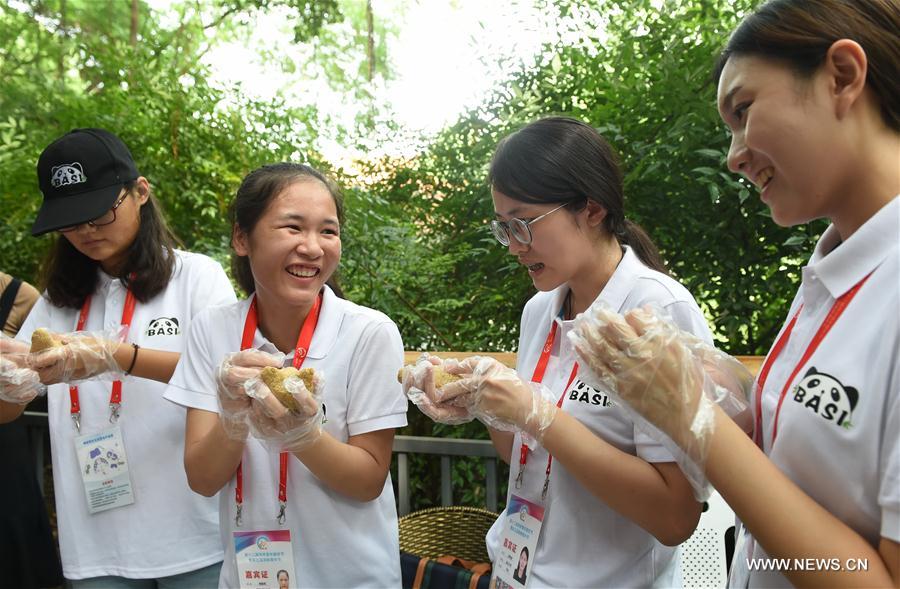 Participants of Cross-Strait Youth Festival learn panda conservation