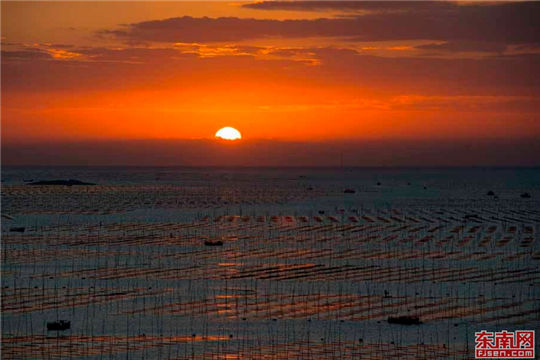 A magnificent view of porphyra farm in Fujian