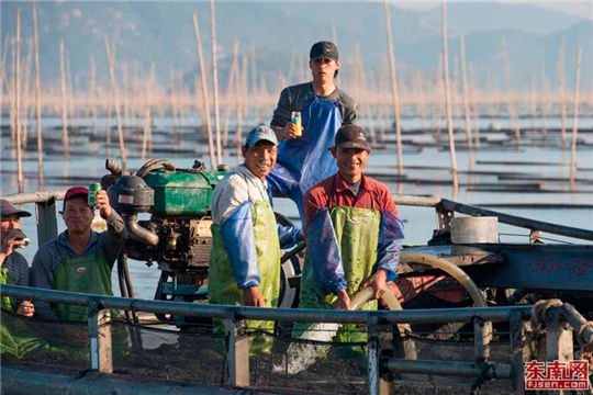 A magnificent view of porphyra farm in Fujian