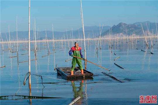 A magnificent view of porphyra farm in Fujian