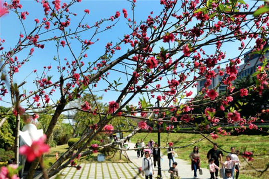 Places for out-going in Fuzhou during springtime