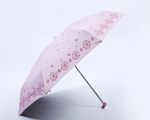 Fulong (Fujian) Umbrella Co