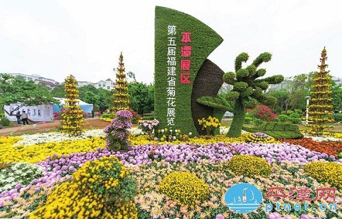 Pingtan holds chrysanthemum show