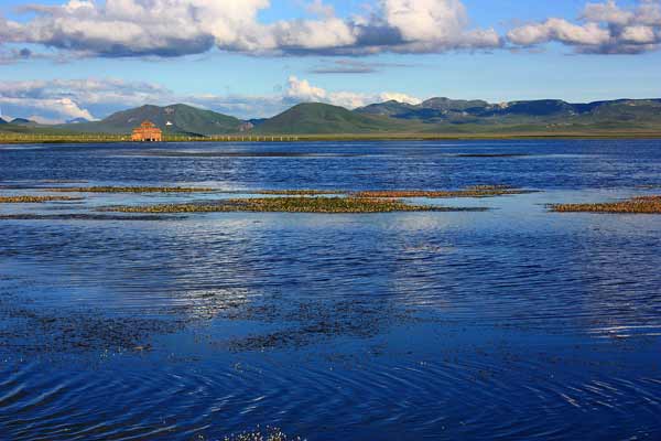 Guardian embraces lake and its birds