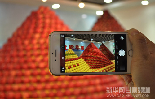 Pingliang city signs 1.53 billion yuan of agreements at apple expo