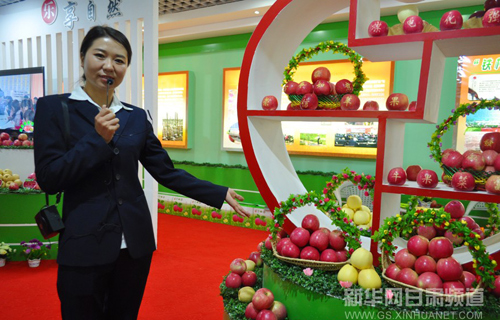 Pingliang city signs 1.53 billion yuan of agreements at apple expo