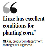 Linze corn seed venture grows into a thriving business