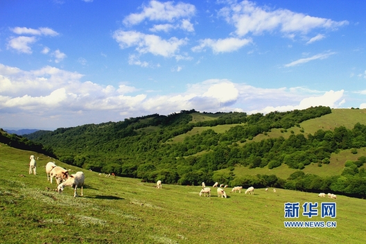 Places to escape the heat in Gansu