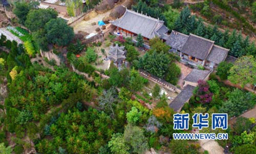 Twins spend 48 years planting forest to prevent mudslides