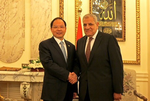 Chen Xiaohua meets with Prime Minister of Egypt