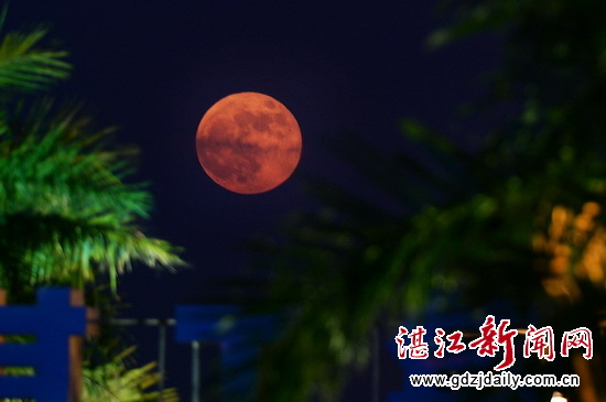 Super blood moon shines bright