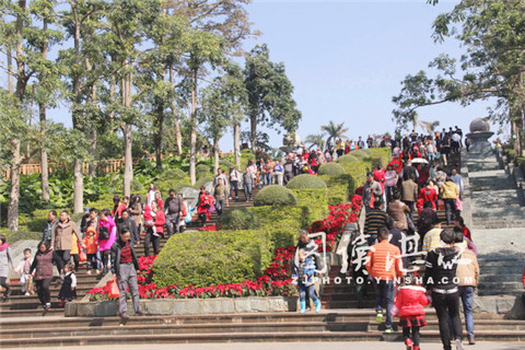 Huguangyan brings in record crowds during Spring Festival