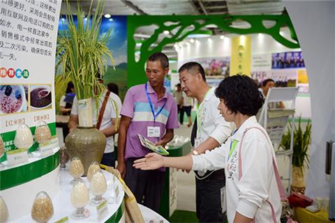 Visitors' view at the Zhanjiang-ASEAN Agriculture Trade Fair