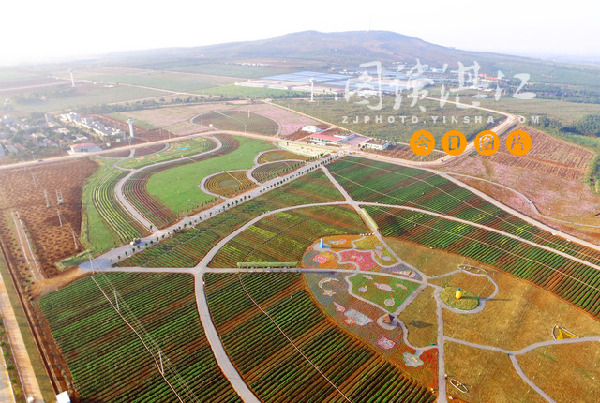 State-level agricultural sci-tech park opens in Zhanjiang