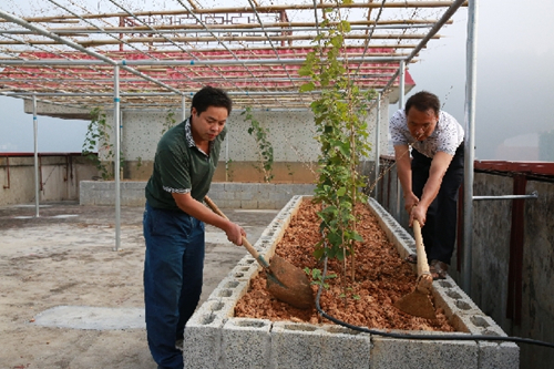 Tian’e develops demonstration department in garden city construction