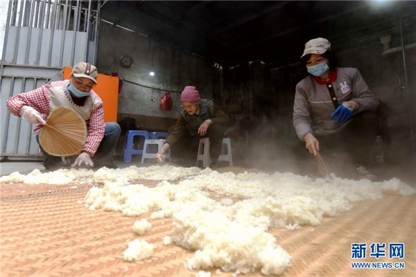 Swelled sugar rice sweetens the Spring Festival in Du'an