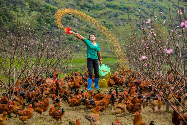Dahua's new development model bolsters poverty alleviation