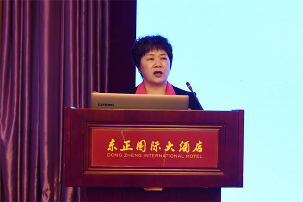 Conference on cocoon silk industry held in Hechi