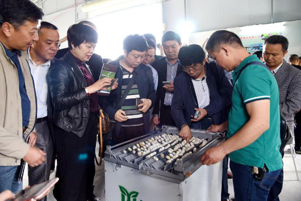 National High-quality Cocoon Silk Base Exchange Meeting held in Hechi