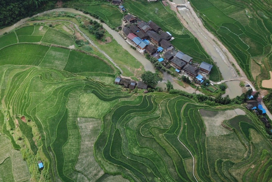 Scenery of Wuniangxi terraced field in Guizhou