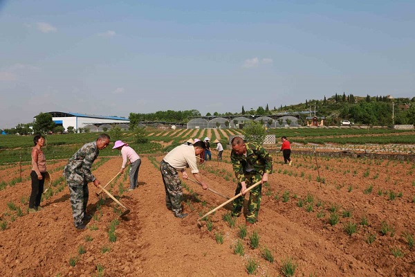 Demobilized soldiers in Guizhou devote themselves to poverty alleviation