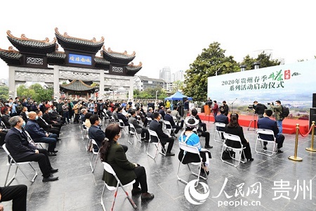 Guizhou spring tea contest launched in Nanming district