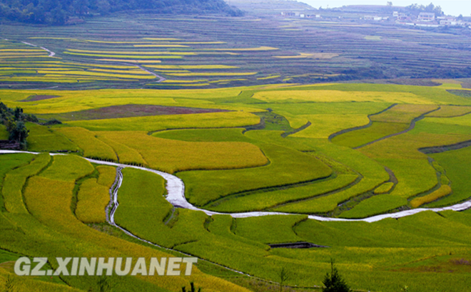 Golden terrace of Guiyang