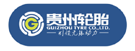 Guizhou Tyre Co Ltd