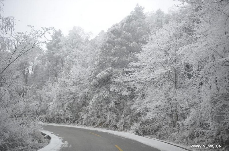 Rime scenery on Leigong Mountain in SW China