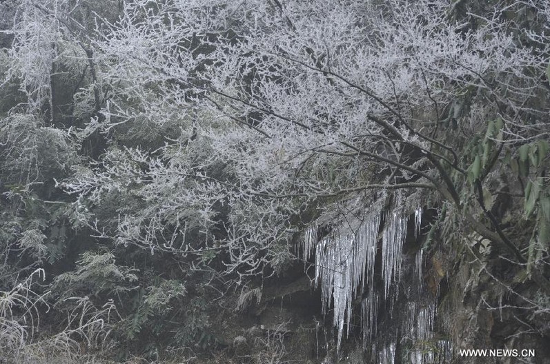 Rime scenery on Leigong Mountain in SW China