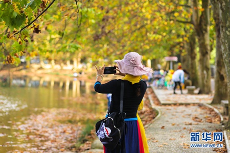Huaxi Park lures visitors with autumn scenery