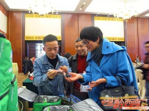 Qinglong attracts attention in Guiyang