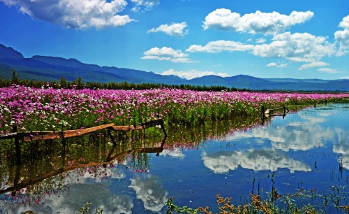 Experience the eternal summer in Qianxinan