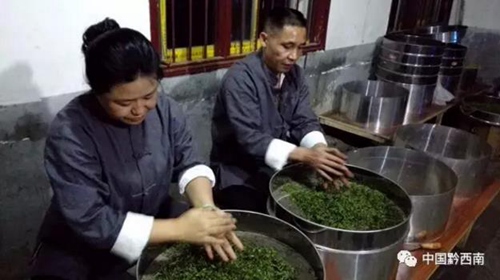 Guizhou tea sweeps the country