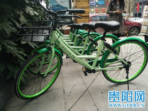 Green rabbits crowd the streets of Guiyang