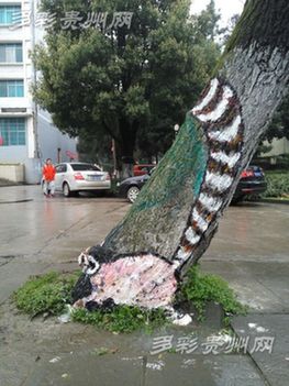 Guizhou art students cover campus in graffiti