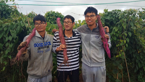 Graduates start businesses in Guizhou