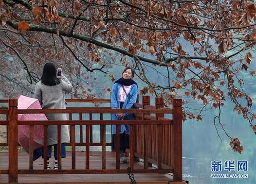 Guizhou sees tourism boom during New Year holiday
