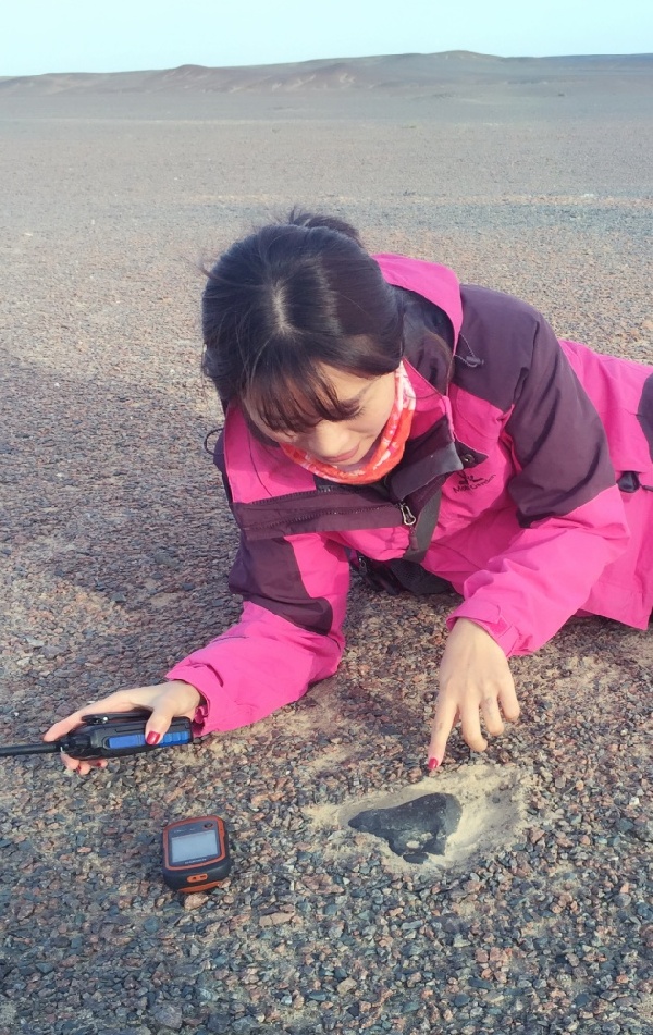Guiyang youngster dedicated to promote meteorite culture