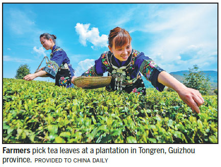 Tongren brews up big tea opportunities