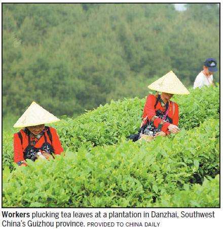 Tea project gives boost to workers